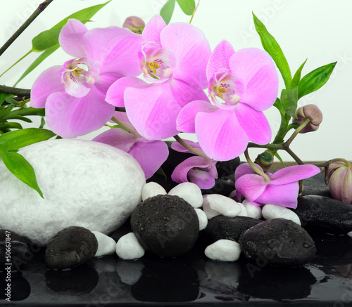 Naklejka na meble Różowe storczyki, liście bambusu i kamienie ZEN