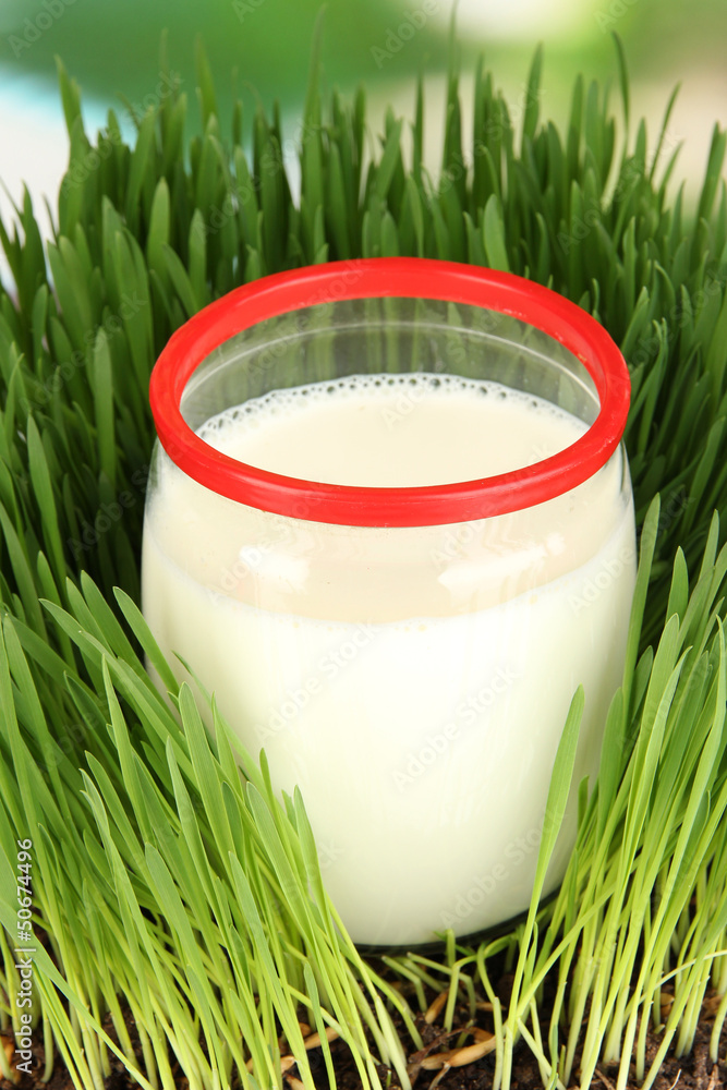 Glass bottle of milk standing on grass close up