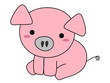 Pink pig cartoon isolated on white background