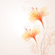 vector background with orange flowers
