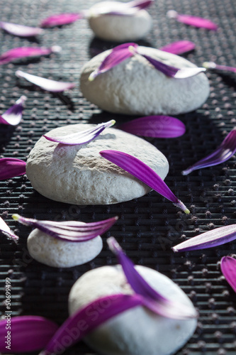 Fototapeta na wymiar white stones e purple petals vertical