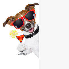 Poster - funny cocktail dog