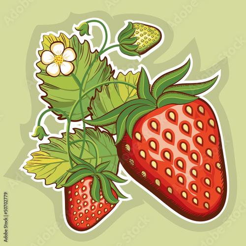 Board z aluminiowym obramowaniem Ilustracja red strawberries.vector