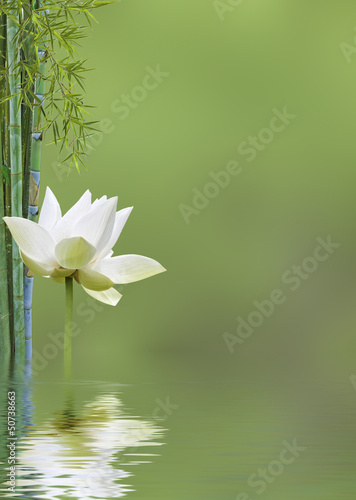 Fototapeta na wymiar décor relaxant asiatique