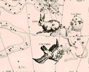 Canvas Print - constellation vintage map