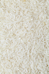 Sticker - Rice