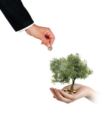Wall Mural - investing to green business