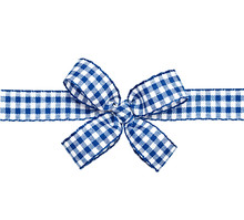 Blue Checkered Bow Isolated On The White