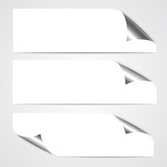 Wall Mural - paper curl banners