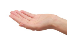 Woman Hand Palm Holding Or Giving Something. Closeup Isolated