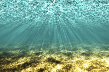 The underwater world background.