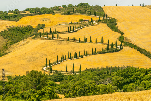 Tapeta ścienna Krajobraz w Val d'Orcia (Toskania)