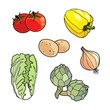 Isolated vegetables, vector vegetarian set