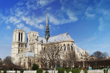 Wall Mural - Overview of the Cathedral of Notre Dame from the bank of the riv