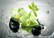 Spa stones and green orchid with water drops.