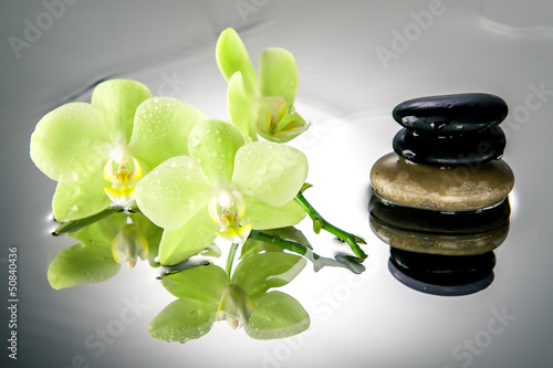 Board z aluminiowym obramowaniem Kamienie spa i zielona orchidea z kropli wody.