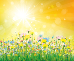 Wall Mural - vector of colorful flowers on sunny background.