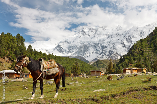 Board z aluminiowym obramowaniem Nanga parbat dekoracje, himalaya, pakistan