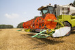 © dechevm - combine harvester on a wheat field