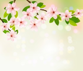 Poster - Spring background with blossoming tree brunch with spring flower