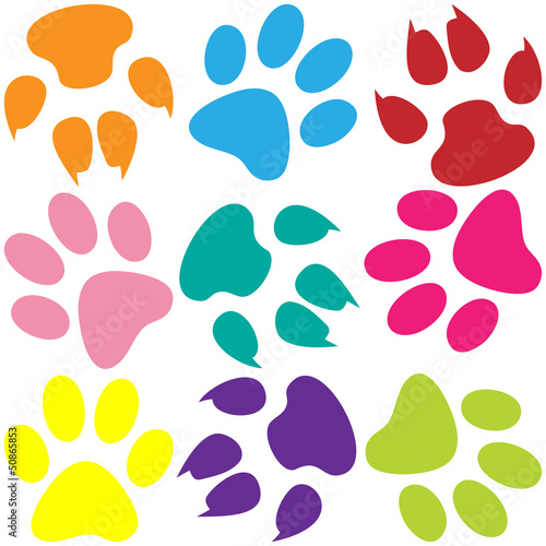 Naklejka na szybę Paw Prints Background