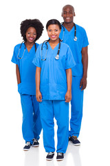 Wall Mural - group of black health workers isolated on white background