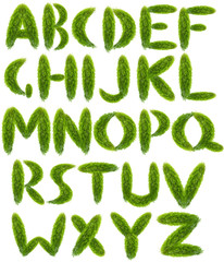 Poster - alphabet from green leaves isolated on white