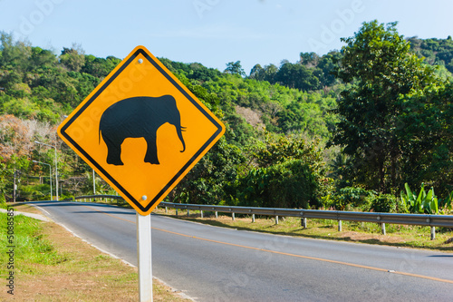Fototapeta na wymiar Road sign "caution elephants" on the track