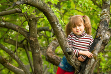 Funny Little Girl Posing Sitting On A Tree In The Garden.