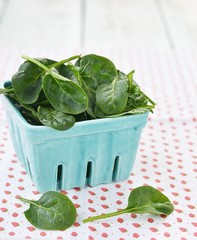 Canvas Print - spinach