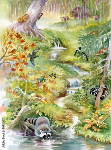 Plakat na zamówienie Waterfall in deep forest