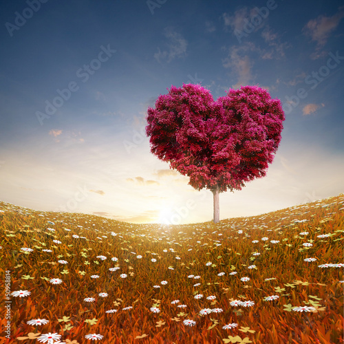 Fototapeta na wymiar Heart shaped Tree red foliage, valentines day