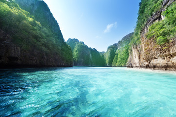Wall Mural - bay at phi phi island in thailand