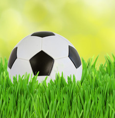 soccer ball in grass