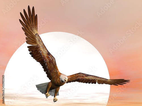 Obraz na płótnie canvas dwuczęściowy "dyptyk" Orzeł o zachodzie słońca - 3d render