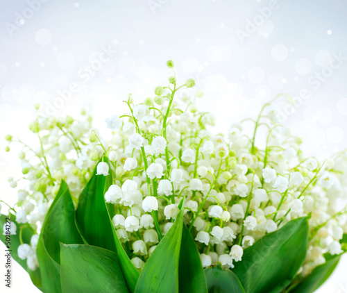 Naklejka - mata magnetyczna na lodówkę Lily-of-the-valley Flower Design. Bunch of White Spring Flowers