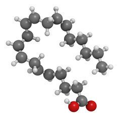 Canvas Print - Arachidonic acid (AA, ARA) polyunsaturated omega-6 fatty acid, m