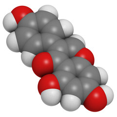 Wall Mural - Genistein isoflavone, molecular model