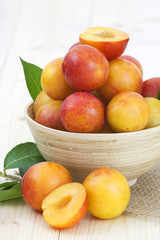 Wall Mural - fresh plums in a bowl