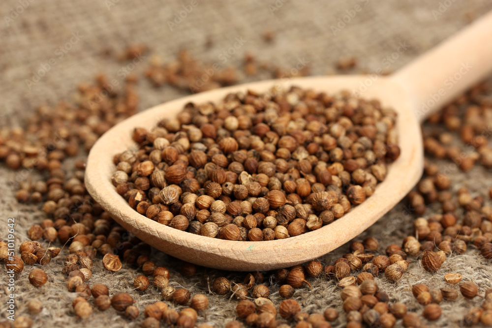 Heap coriander seeds in wooden spoon