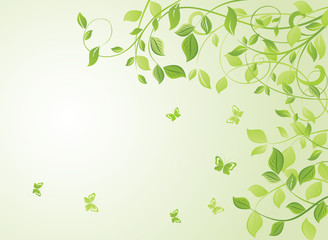 Wall Mural - Spring green card