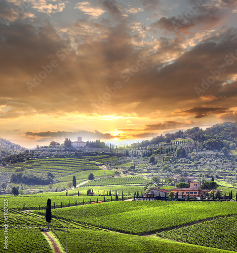 Naklejka - mata magnetyczna na lodówkę Chianti vineyard landscape in Tuscany, Italy