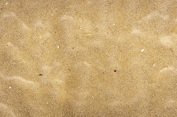 Wall Mural - Closeup of sand texture