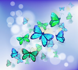 Wall Mural - Butterflies in a stationery