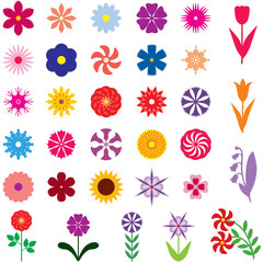 Canvas Print - Set multicolor flower