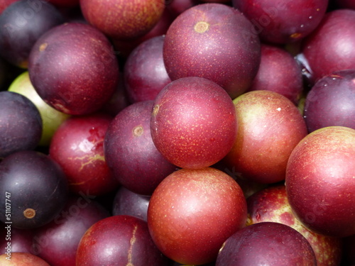 Board z aluminiowym obramowaniem Camu - camu früchte (myrciaria dubia) im amazonasgebiet