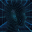 © fotoliaxrender - 3D wireframe human male