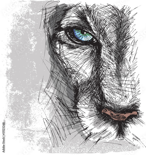 Fototapeta dla dzieci Hand drawn Sketch of a lion looking intently at the camera