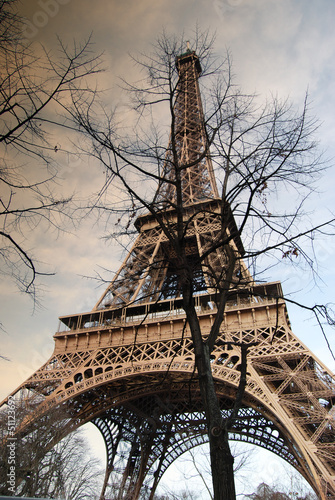 Nowoczesny obraz na płótnie The Eiffel Tower in the branches of the tree.