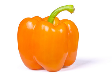 Orange Sweet Pepper Vertical